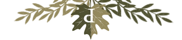 banner top