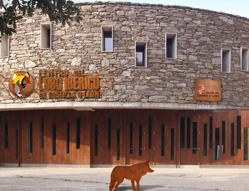 Centro de Interpretación del Lobo