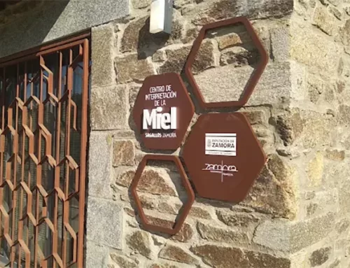Centro de Interpretación de la Miel Sagallos