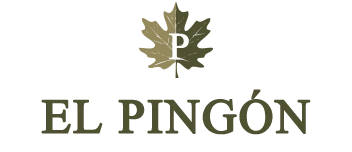 El Pingón Hotel Rural